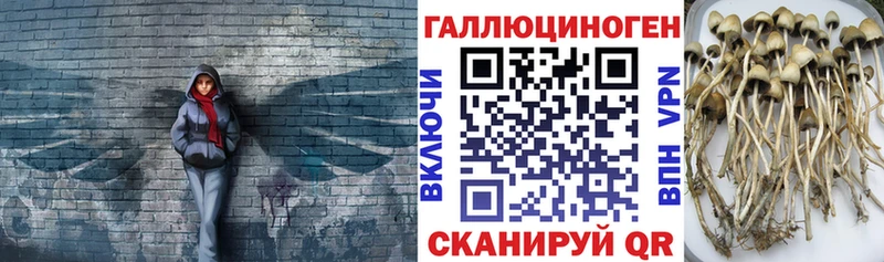 наркошоп Тобольск Псилоцибиновые грибы мухоморы